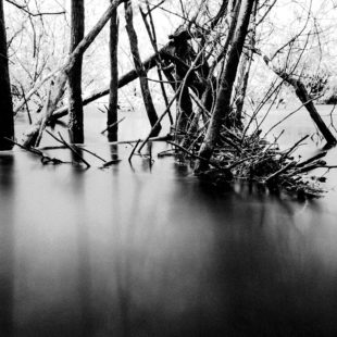 COSTA e MEDAGLIA Dalla Fotografia alle Multiemozioni