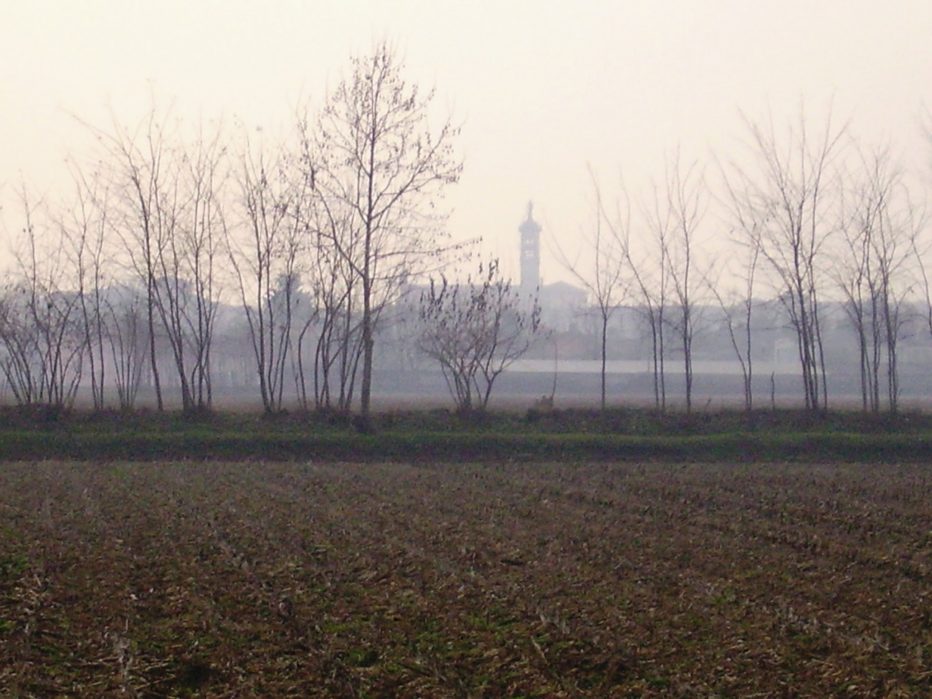 L’ALBERO DEGLI ZOCCOLI