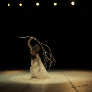SILVIA GIRARDI, ALBERI