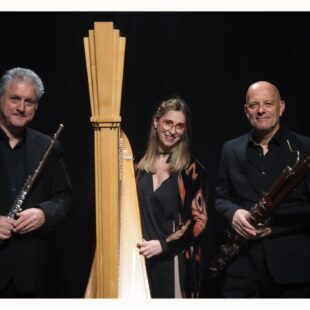 ARIOSO FURIOSO TRIO